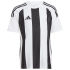 white/black